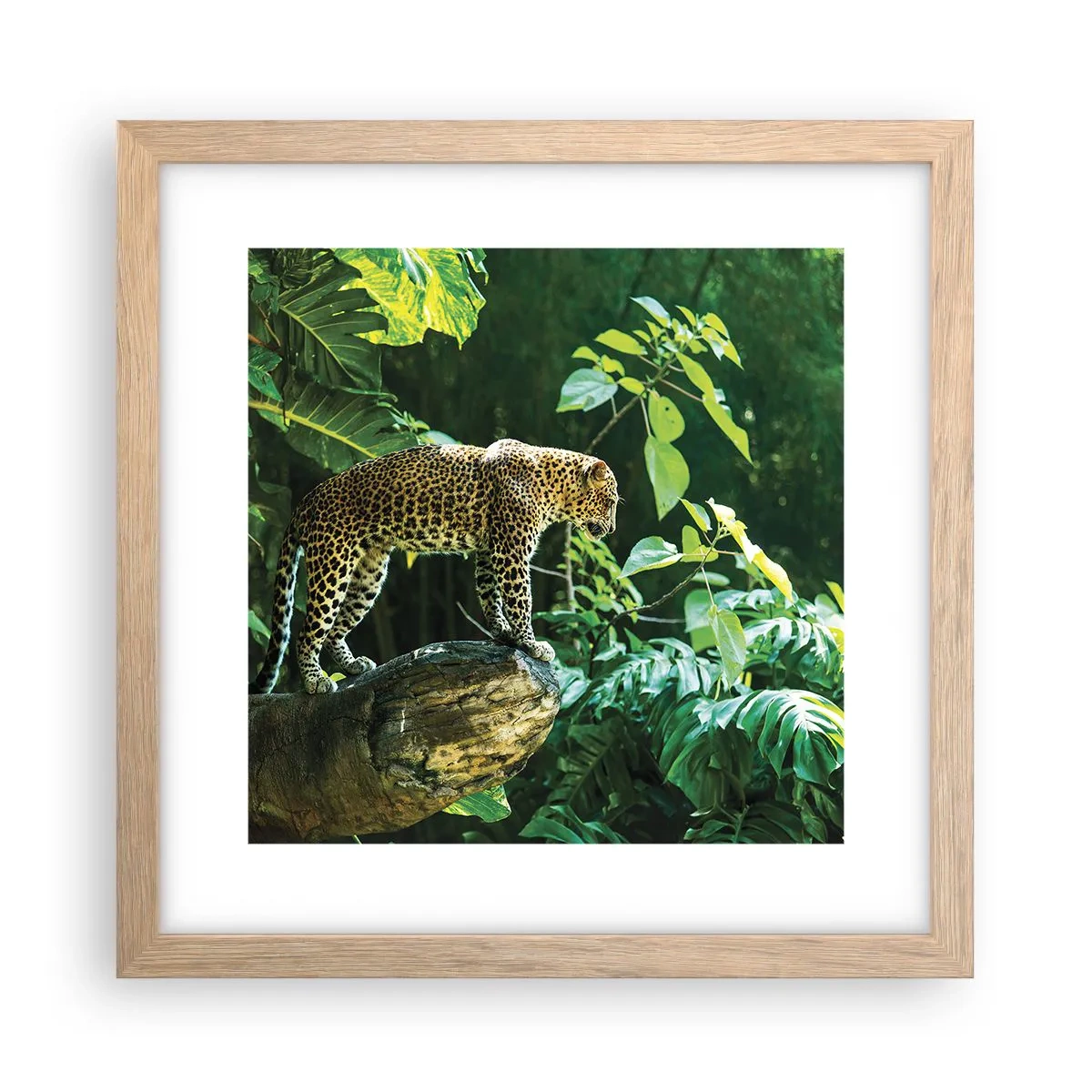 Poszter világos tölgy keretben - A vadászatra? - 30x30 cm