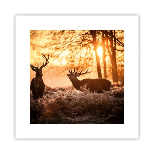 Poszter - Vadász álma - 30x30 cm