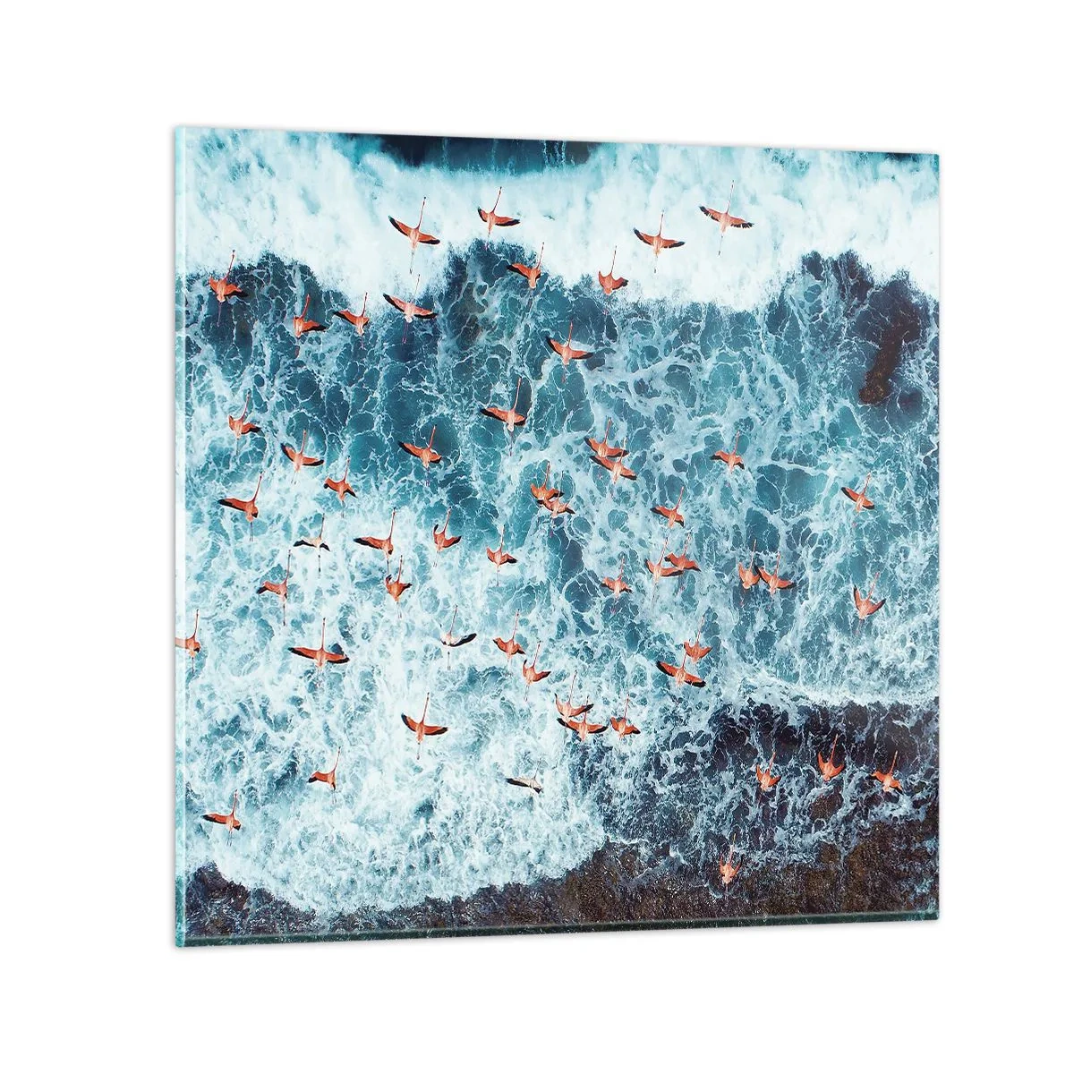 Üveg kép - A tengerparti parádé - 40x40 cm