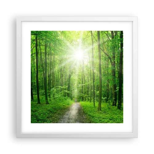 Poszter fekete keretben - A zöld katedrális - 40x40 cm