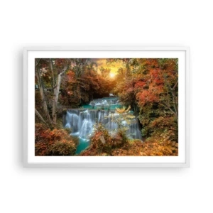 Poszter fekete keretben - Az erdő rejtett kincse - 70x50 cm