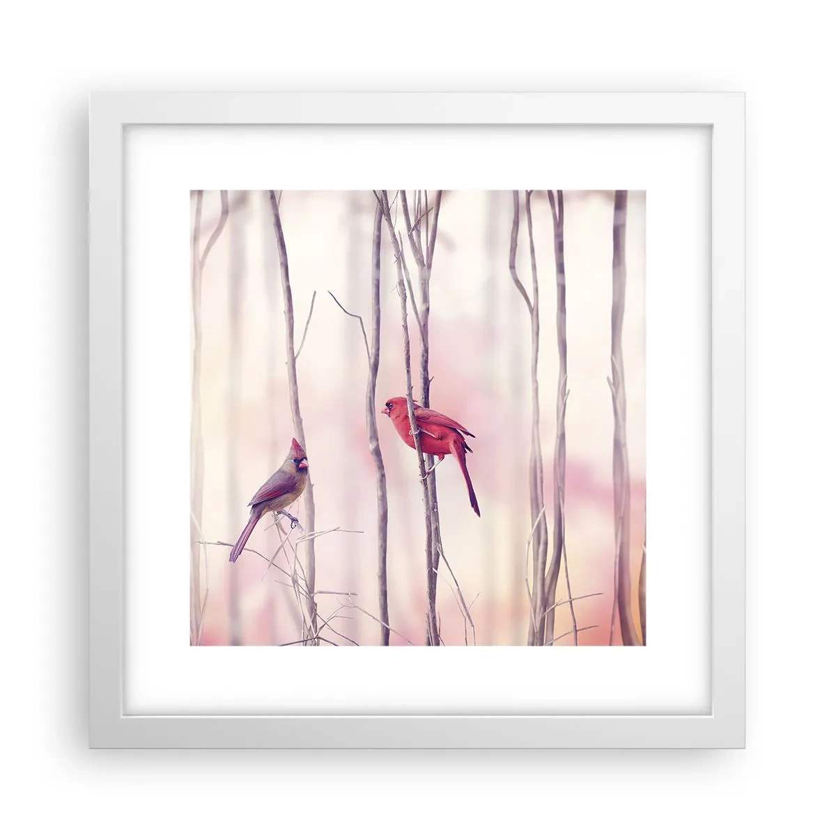Poszter fekete keretben - Rózsaszín erdő története - 30x30 cm