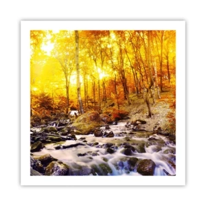 Poszter - Kövek aranyba és platinába - 60x60 cm