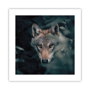 Poszter - Vadász - 40x40 cm