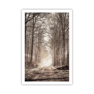 Poszter - Erdei katedrális - 61x91 cm