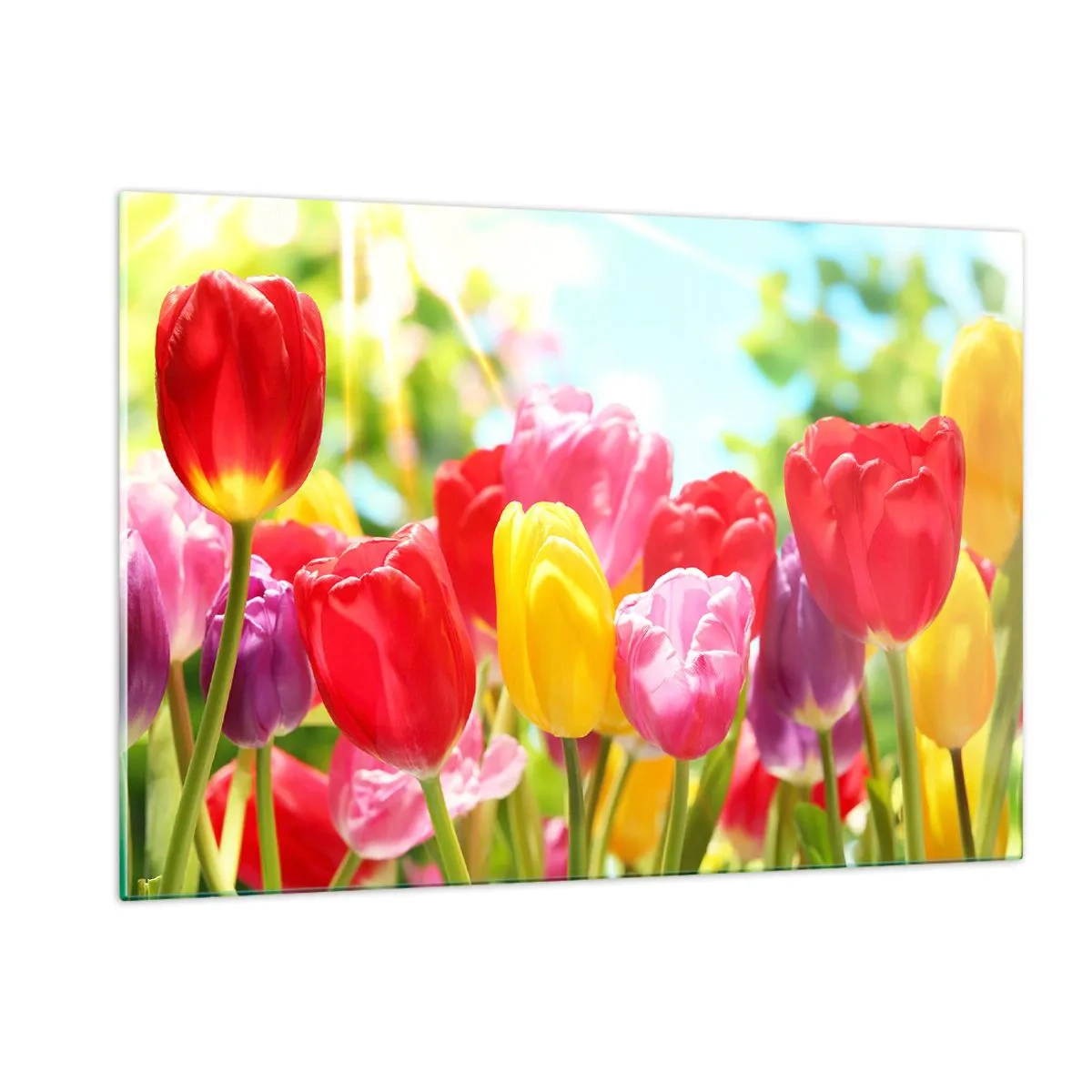 Üveg kép - Mi vagyunk, a május színei! - 120x80 cm