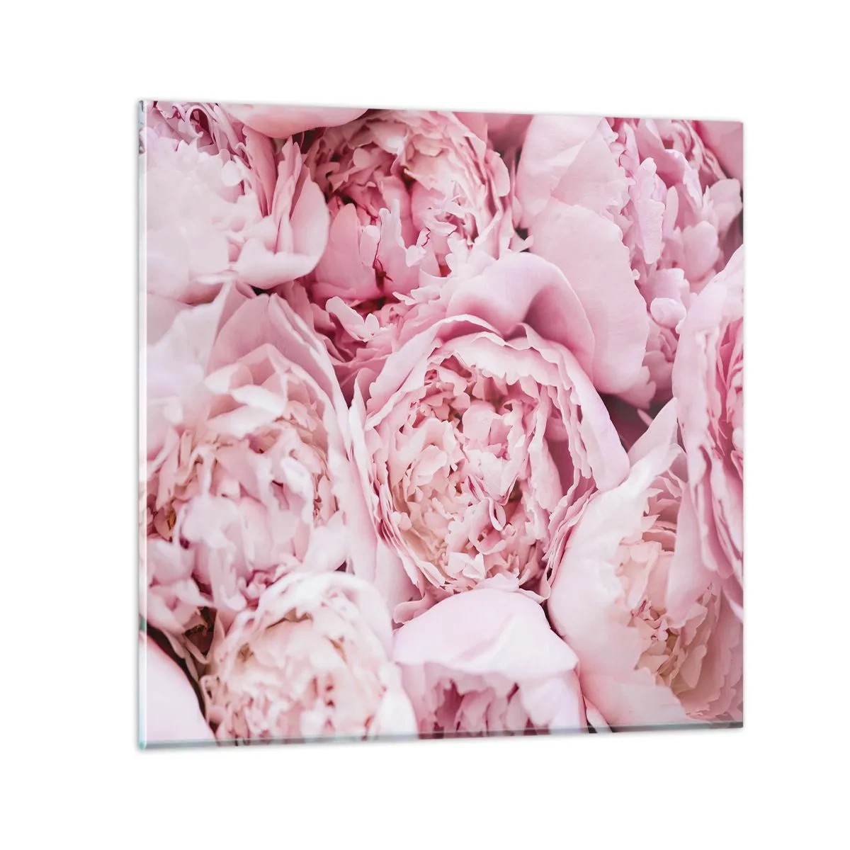 Üveg kép - Átölelve és illatos - 70x70 cm