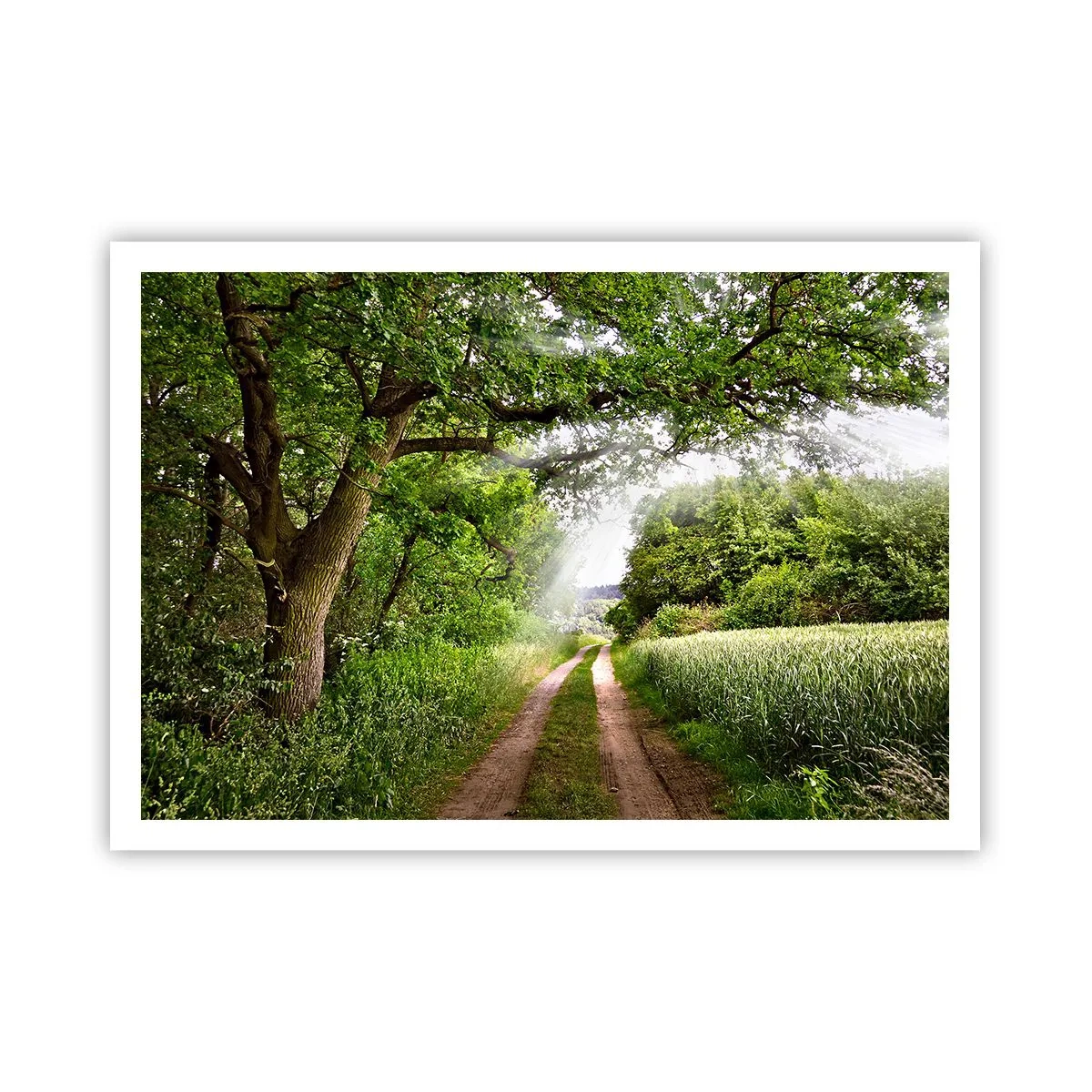 Poszter - Et in Arcadia ego - 100x70 cm