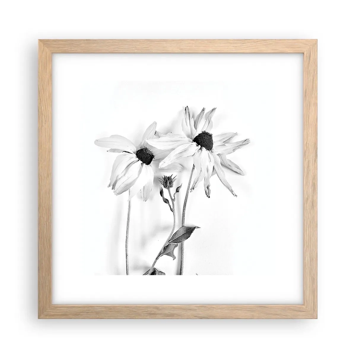 Poszter világos tölgy keretben - Senki sem akar egyedül lenni - 30x30 cm