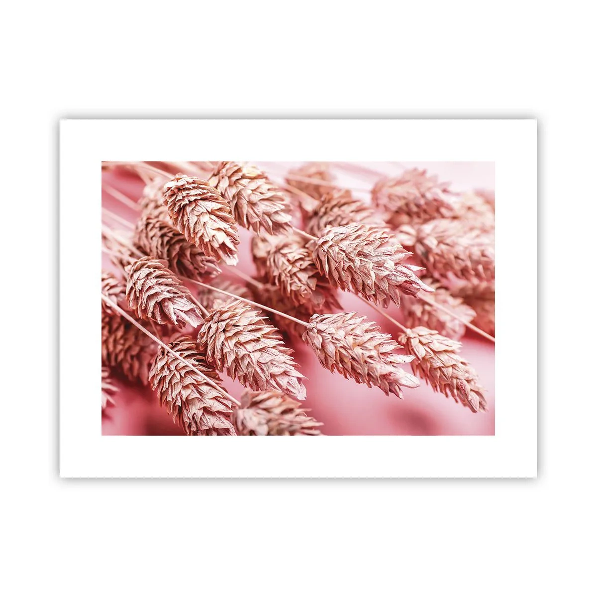 Poszter - Rózsaszín virágos kaszkád - 40x30 cm