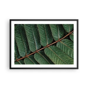 Poszter fehér keretben - Zöld ritmusban - 70x50 cm