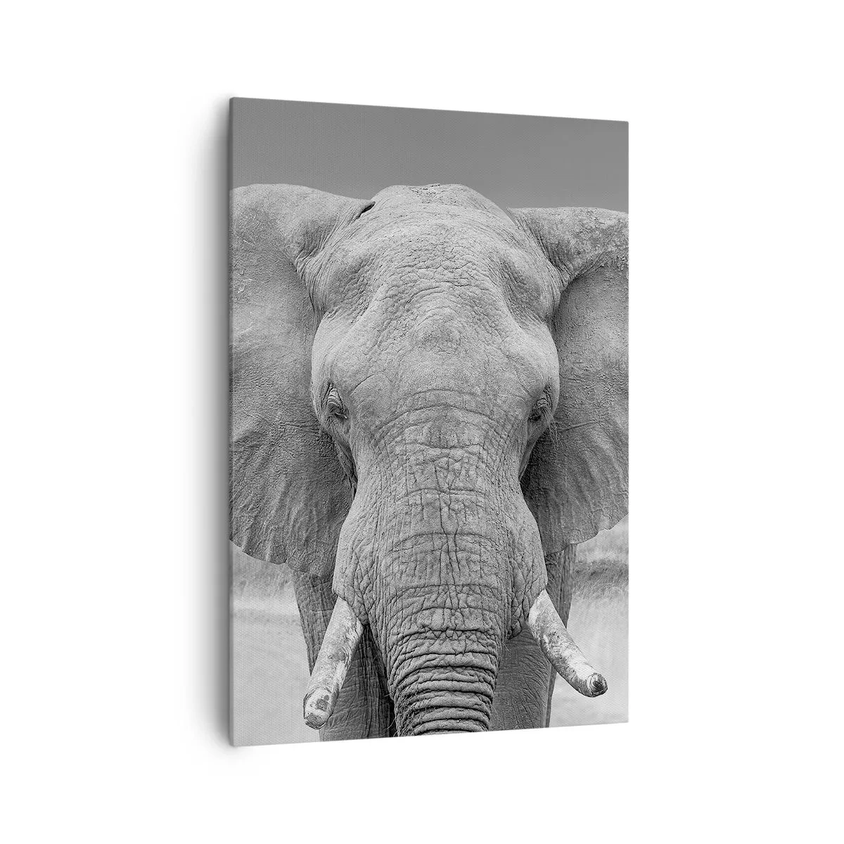 Vászonkép - Üdv a világomban - 70x100 cm