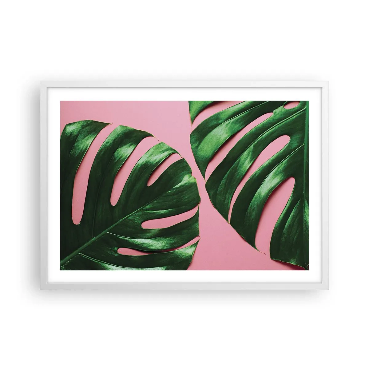 Poszter fekete keretben - Zöld rendez-vous - 70x50 cm