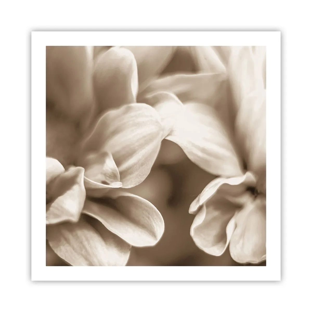 Poszter - Gyengéd, mint egy mosoly - 60x60 cm