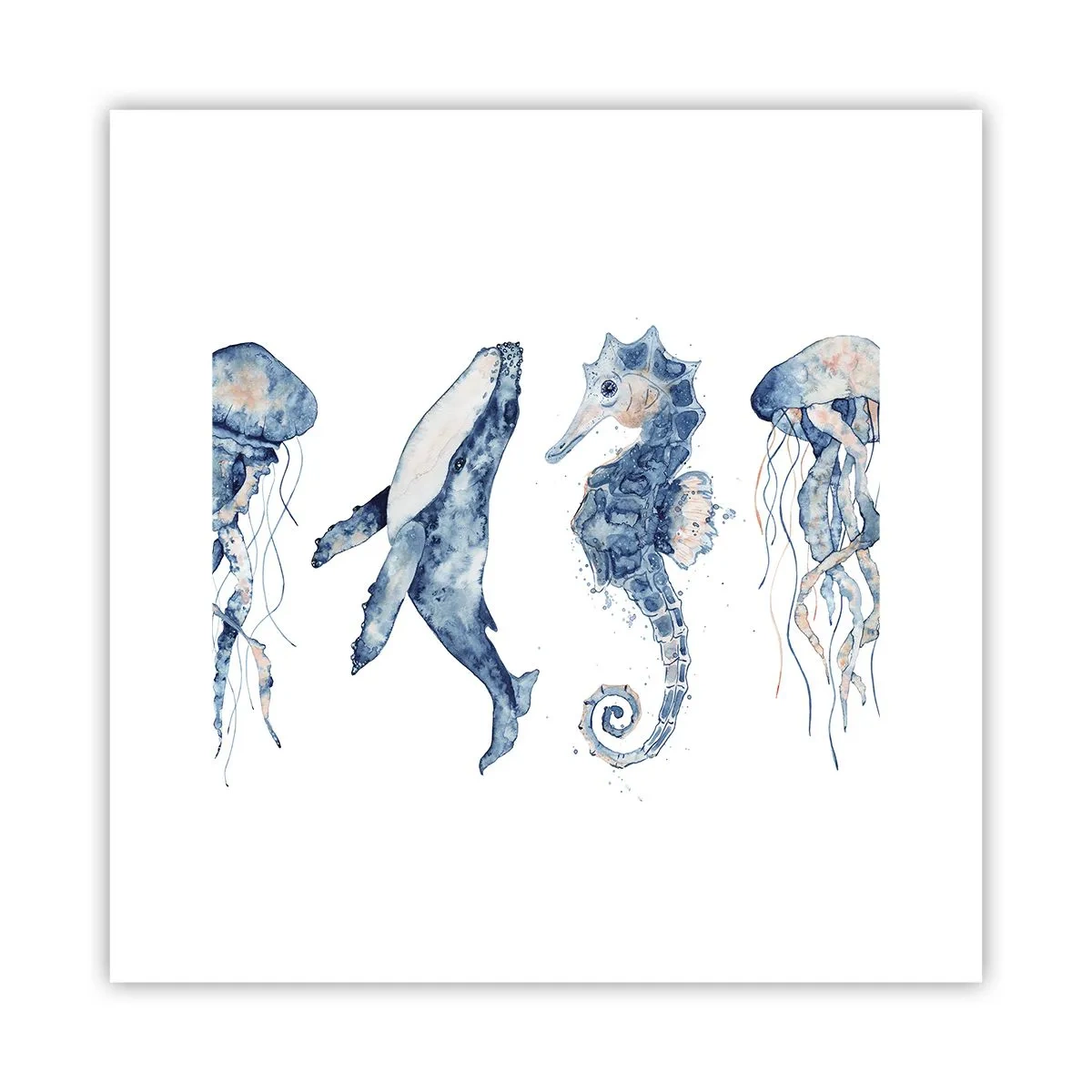 Poszter - Tengeri csodák - 30x30 cm