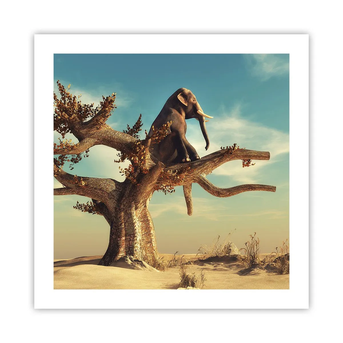 Poszter - Egy új nézőpont - 50x50 cm