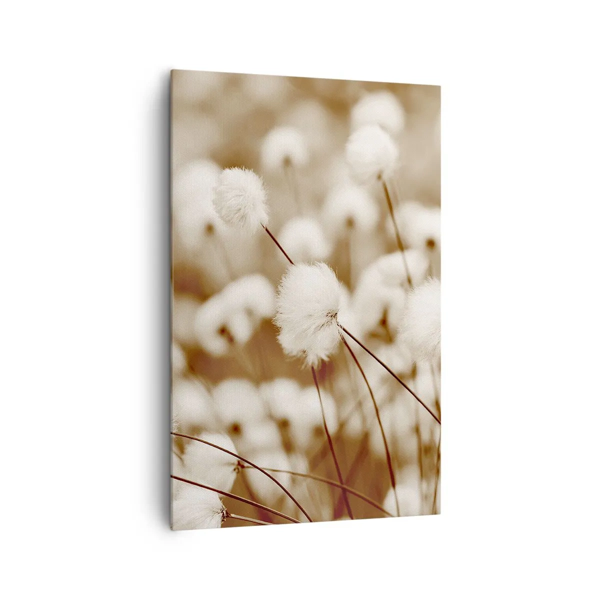 Vászonkép - Bolyhos termés - 80x120 cm