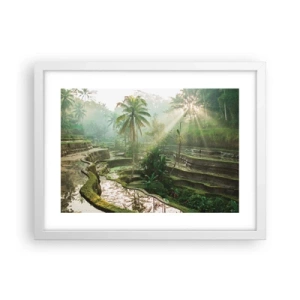 Poszter fekete keretben - Felnőni a napon - 40x30 cm