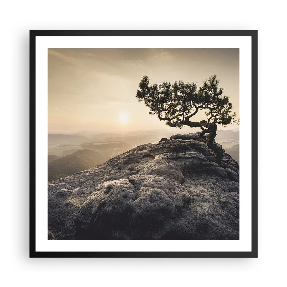 Poszter fehér keretben - Az élet mindig győz - 60x60 cm