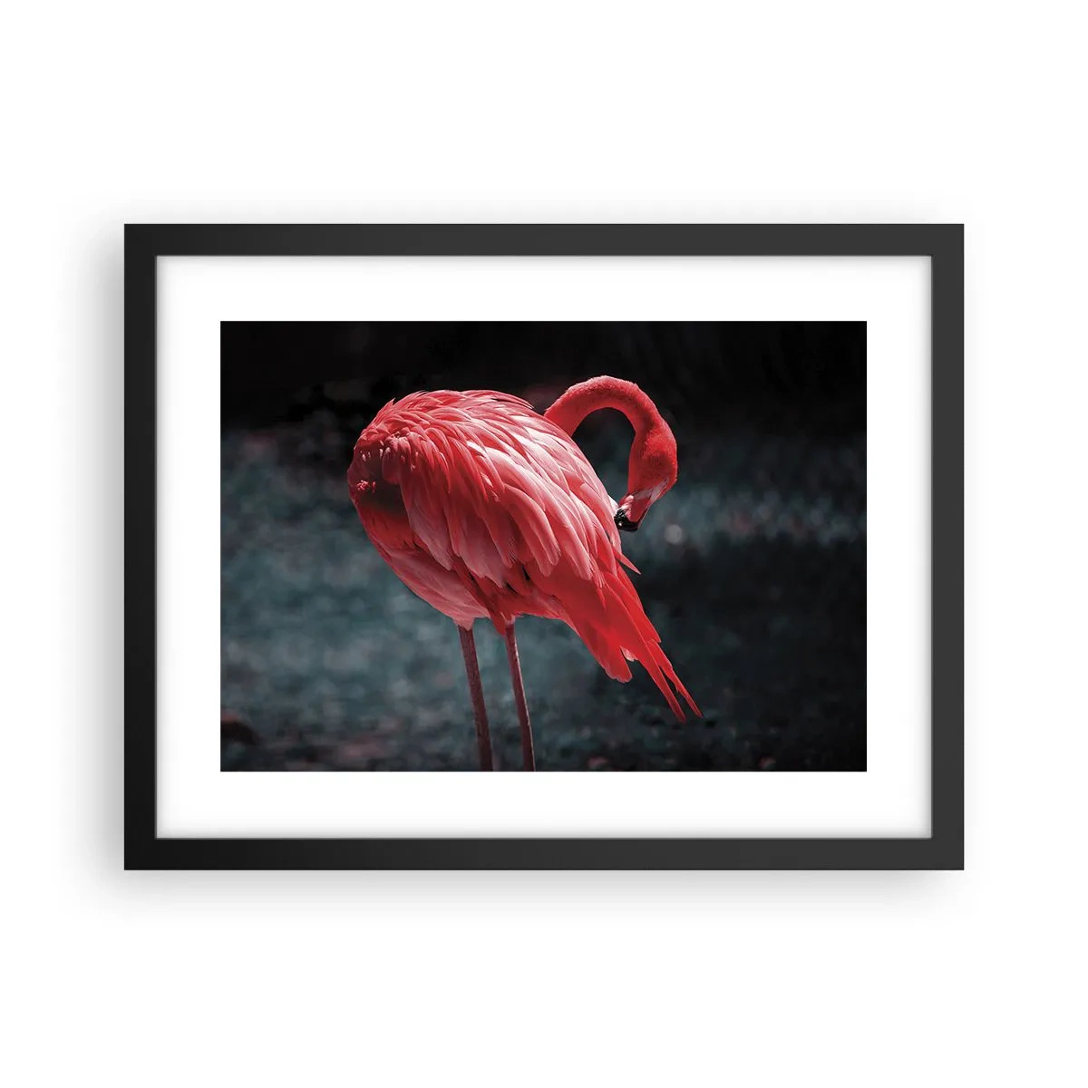 Poszter fehér keretben - A természet karmazsinvörös verse - 40x30 cm