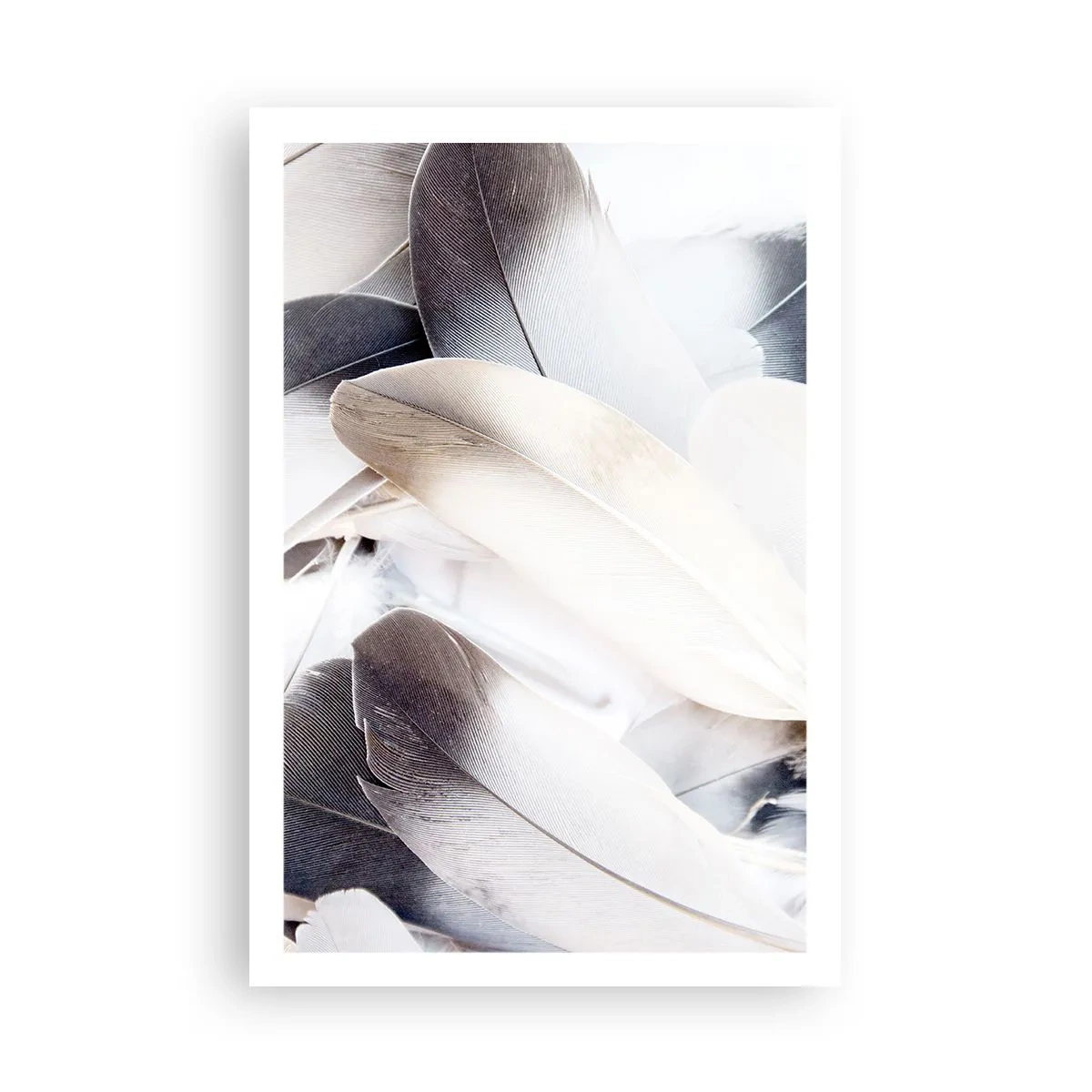 Poszter - Szinte angyali - 61x91 cm