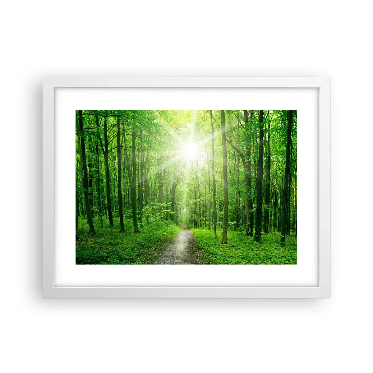 Poszter fekete keretben - A zöld katedrális - 40x30 cm