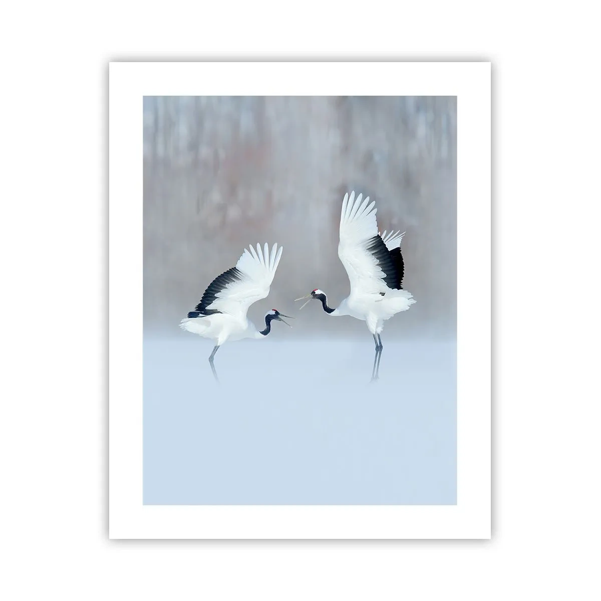 Poszter - Tánc a ködben - 40x50 cm