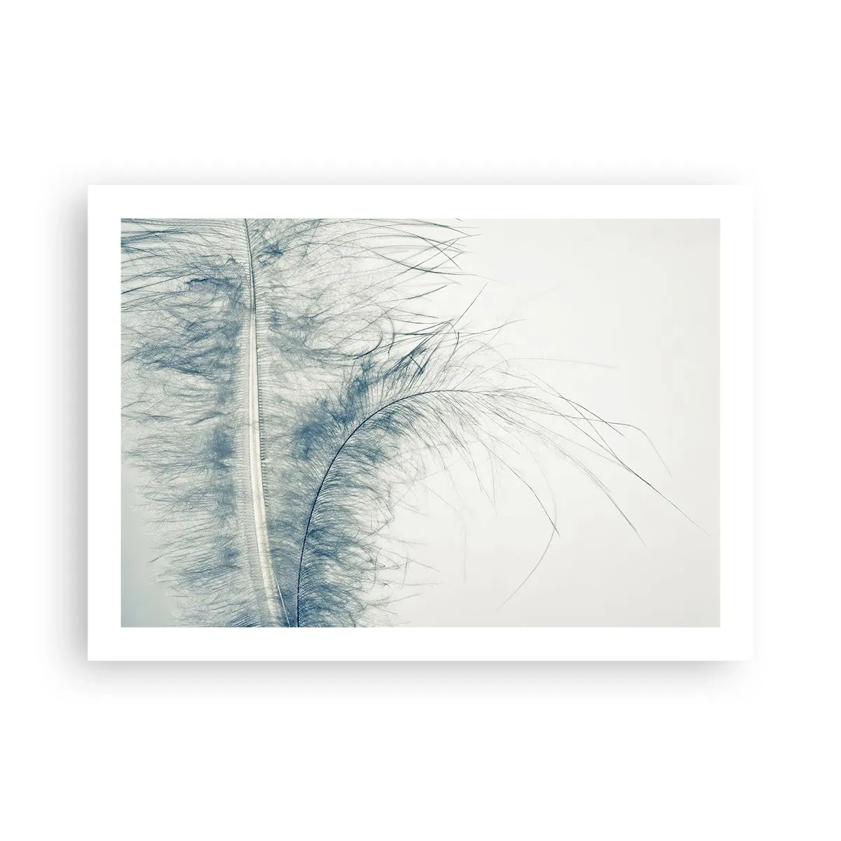 Poszter - A természet suttogása - 70x50 cm