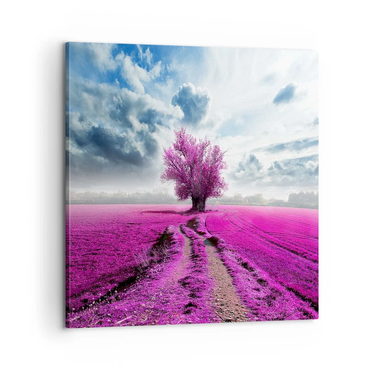 Vászonkép - Csarab mező - szentély - 60x60 cm