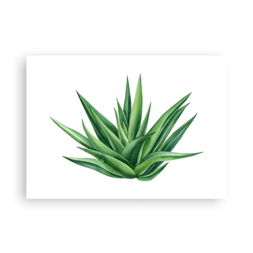 Poszter - Zöld - erő - élet - 70x50 cm