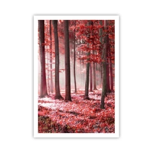 Poszter - A piros különösen szép - 70x100 cm
