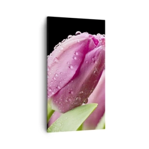 Vászonkép - Lila álom a harmatban - 45x80 cm