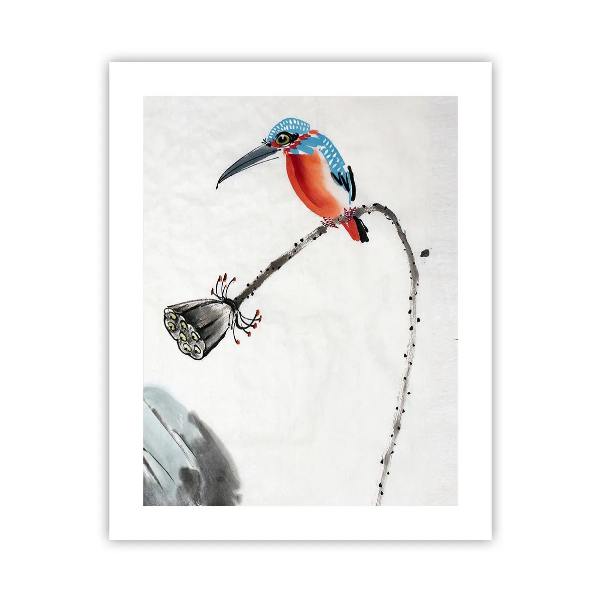 Poszter - A rét élete - 40x50 cm