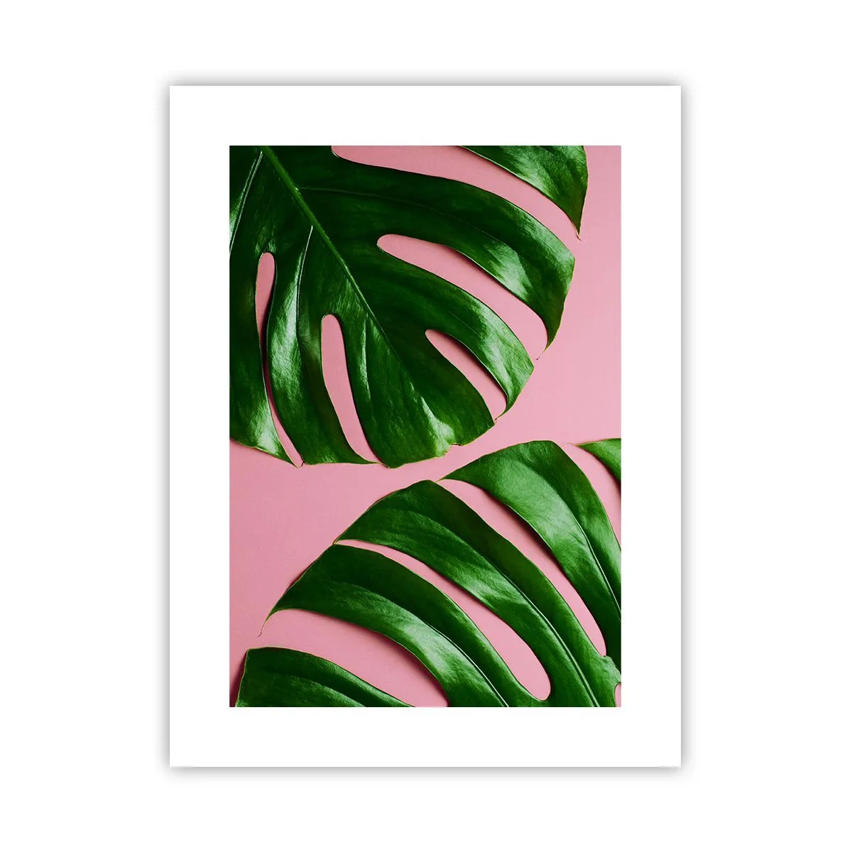 Poszter - Zöld rendez-vous - 30x40 cm