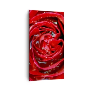 Vászonkép - A harmatcseppekben - 55x100 cm