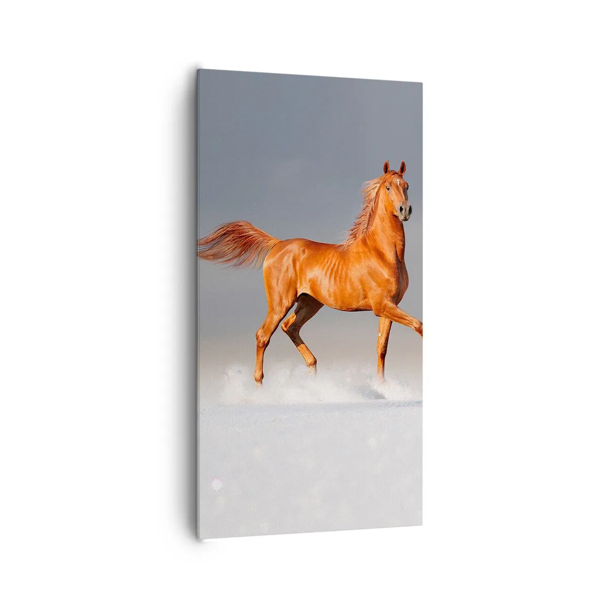 Vászonkép - Táncoló szépség - 65x120 cm