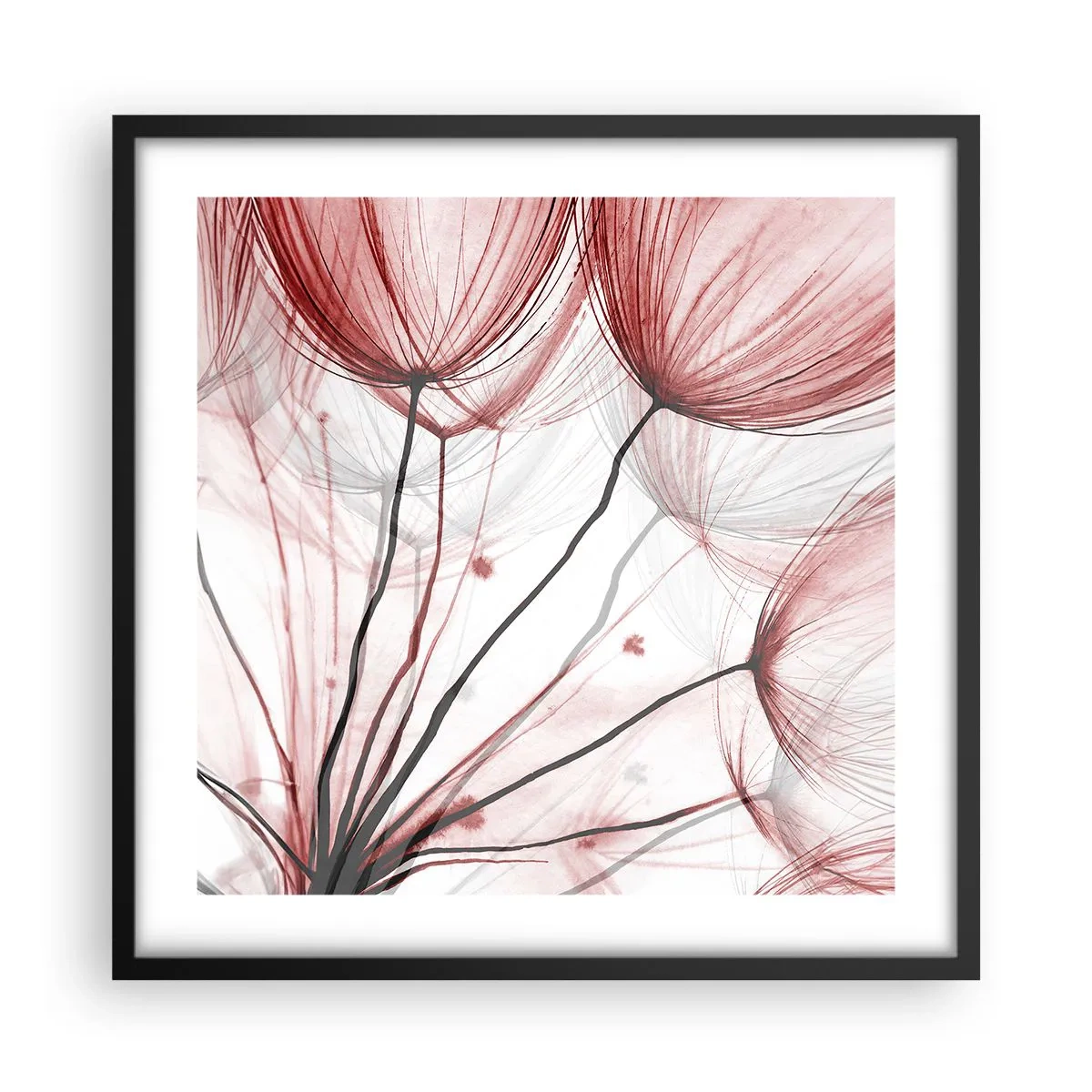 Poszter fehér keretben - Felszállás előtt - 50x50 cm