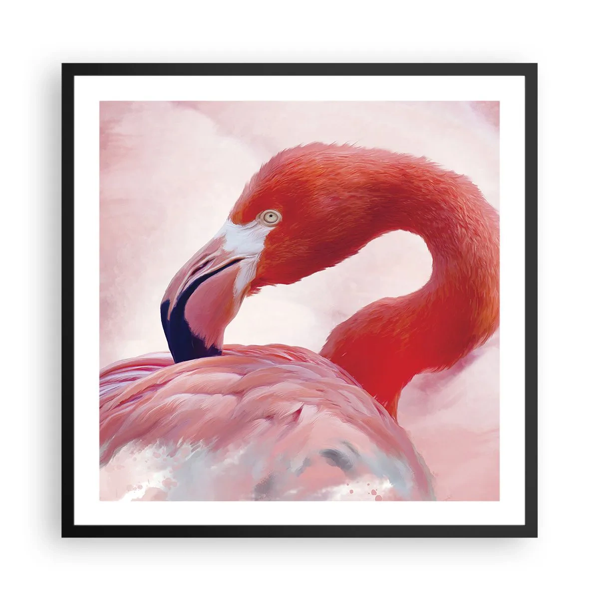 Poszter fehér keretben - Madári szépség - 60x60 cm