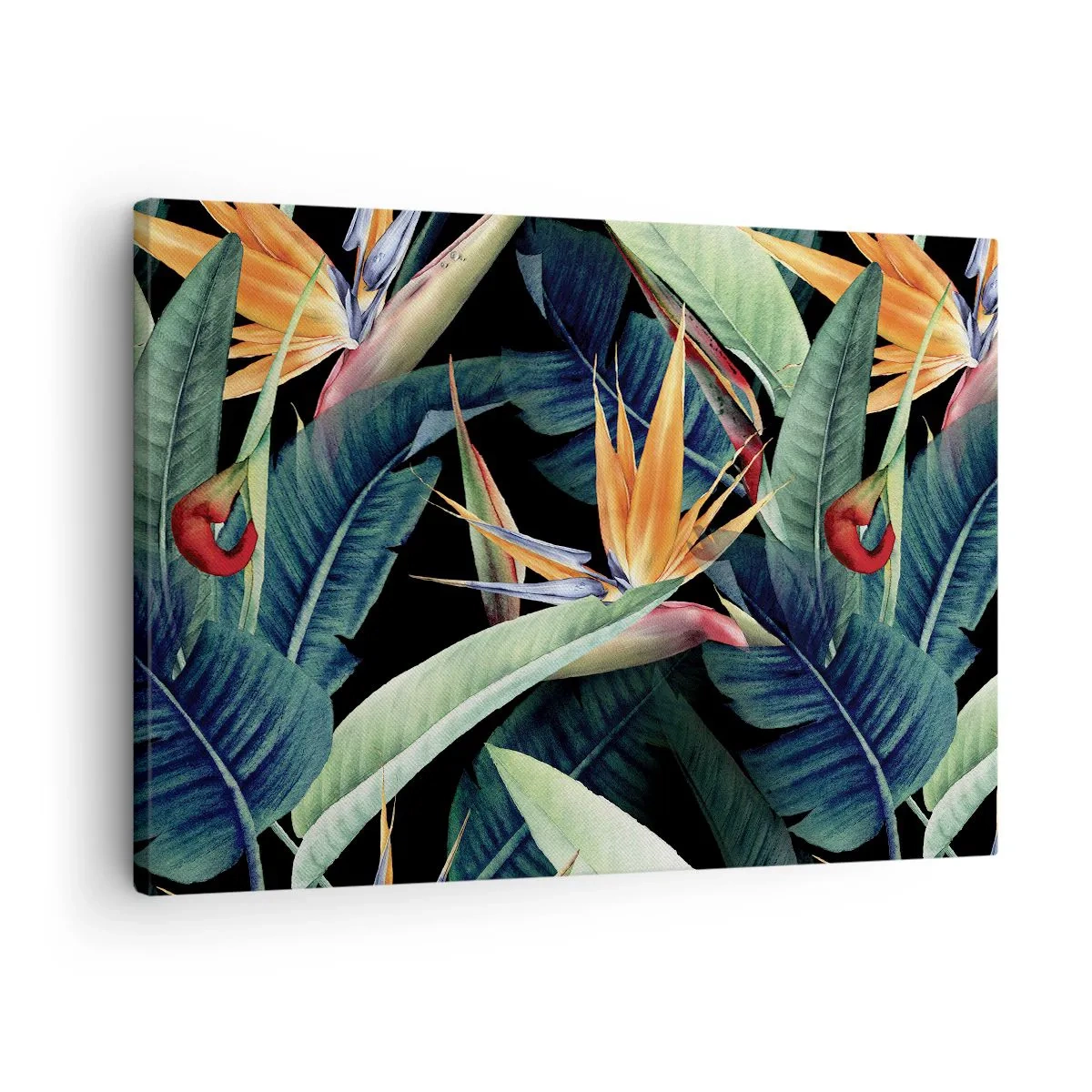 Vászonkép - Trópusi virágok és levelek fekete háttéren - 70x50cm - A trópusok lángoló virágai - Modern fali dekoráció nappalihoz és hálószobához ARTTOR