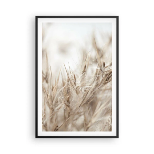 Poszter fehér keretben - Mező és szél - 61x91 cm