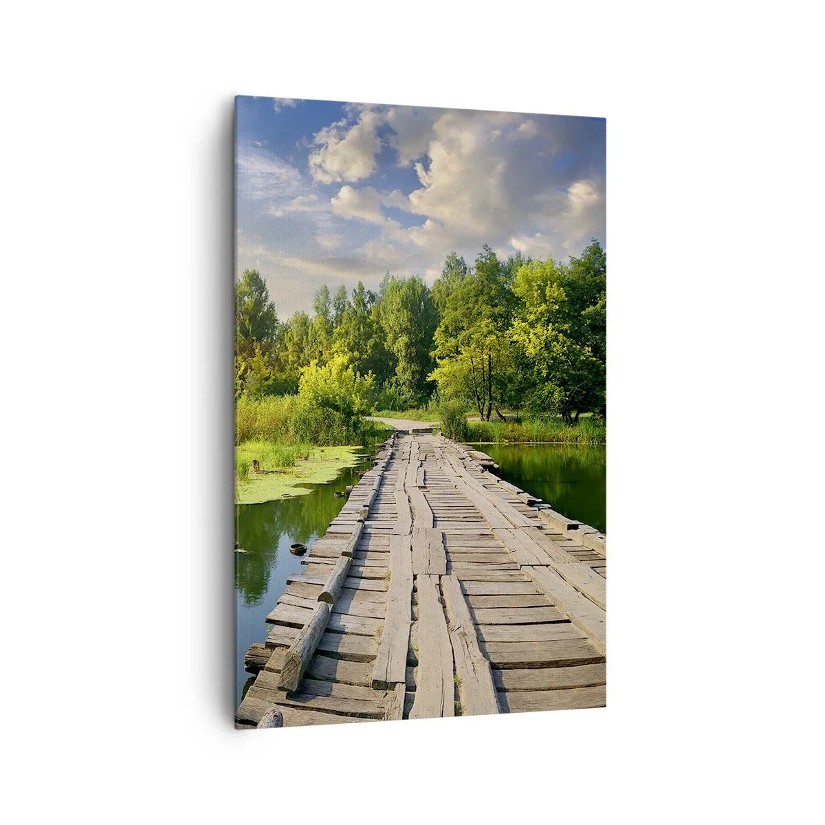 Vászonkép - Nyár, mindenhol nyár - 80x120 cm