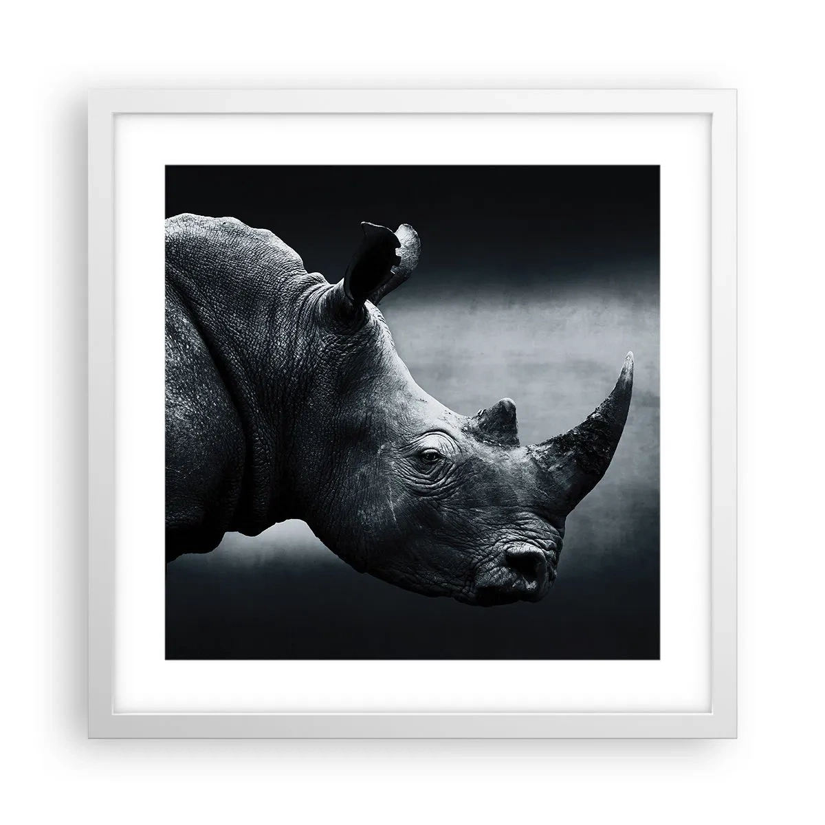 Poszter fekete keretben - Jobb profil - 40x40 cm