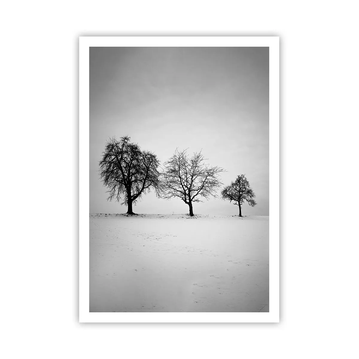 Poszter - Miről álmodoznak? - 70x100 cm