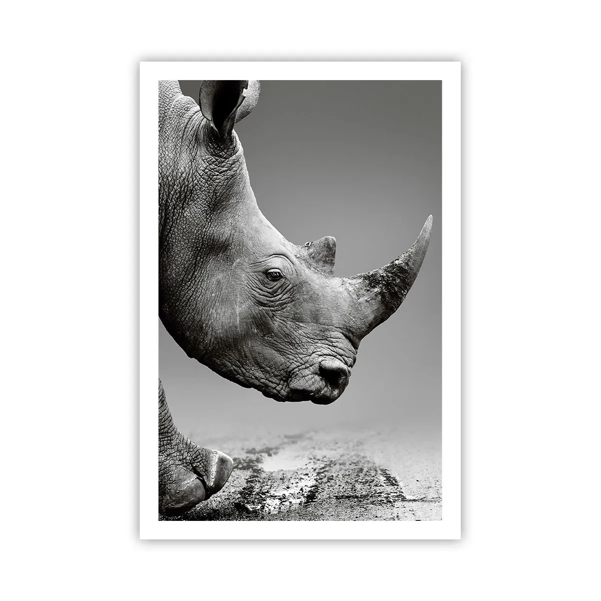 Poszter - Megállíthatatlan erő - 61x91 cm