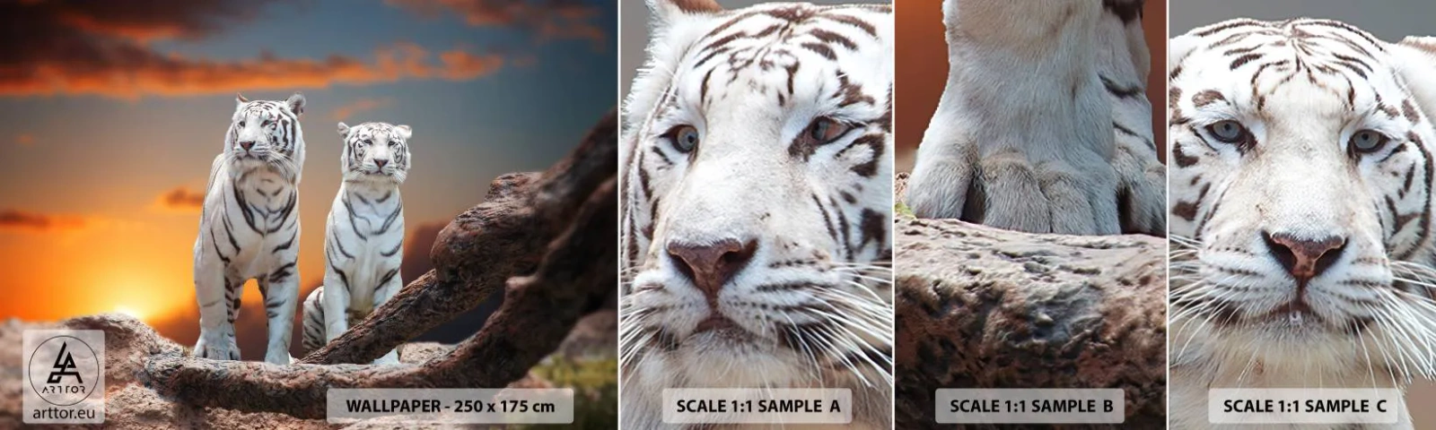 Fotótapéta Minta Öntapadós Deluxe Sticker - Akárcsak Narnia - Állatok, Tigris, Napnyugta - 100x30 cm