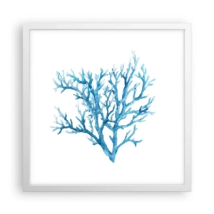 Poszter fekete keretben - Tengeri filigrán - 40x40 cm