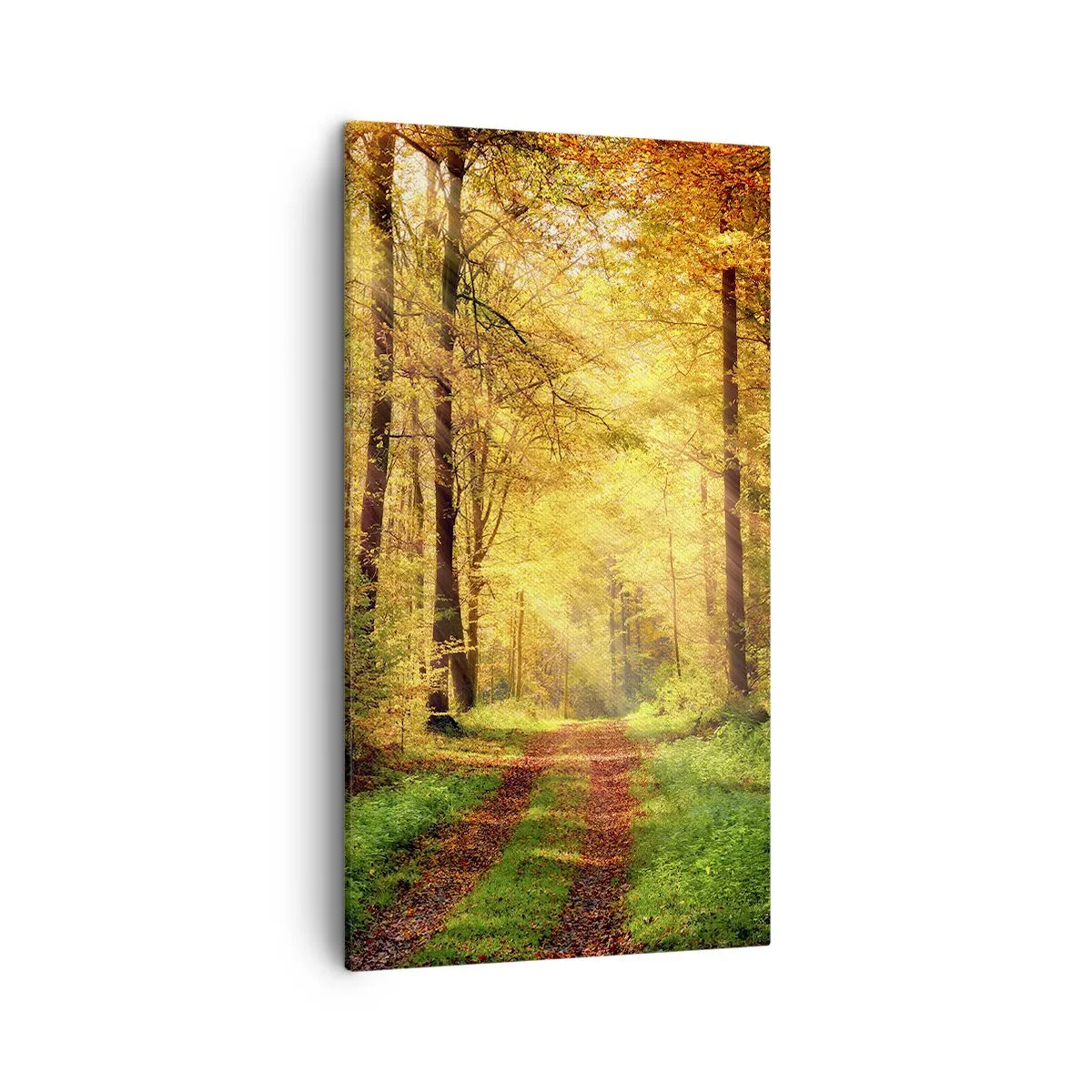 Vászonkép - Erdei, arany csend - 45x80 cm