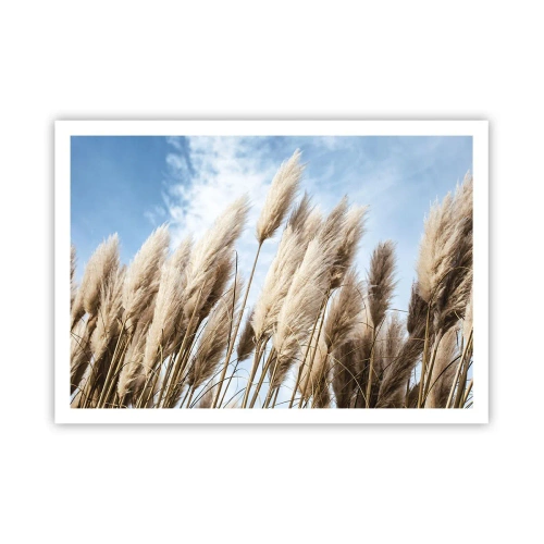 Poszter - Napos és szeles simogatás - 100x70 cm