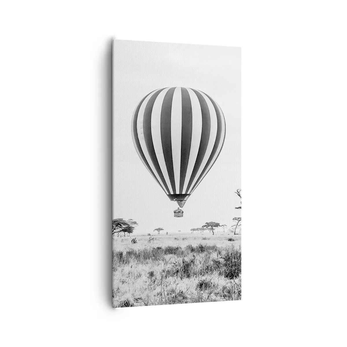 Vászonkép - A szavanna felett - 65x120 cm