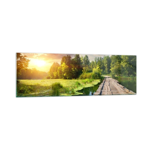 Üveg kép - Nyár, mindenhol nyár - 160x50 cm